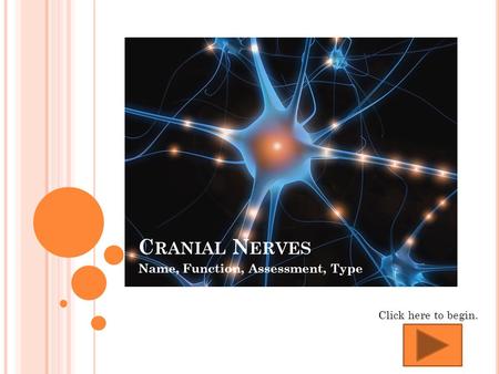 C RANIAL N ERVES Name, Function, Assessment, Type Click here to begin.