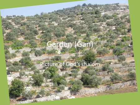 Garden (Gan) Picture of God’s shalom. Shema Hear O Israel, the Lord is our God. The Lord alone. Love the Lord your God with all your heart, with all your.