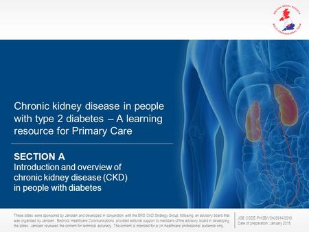 These slides were sponsored by Janssen and developed in conjunction with the BRS CKD Strategy Group, following an advisory board that was organised by.