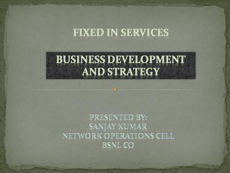 Introduction Future trends for IN products Revenue and Targets Opportunities, Challenges and Problem Areas Existing Business Strategy New Business Development.