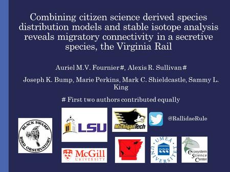 Combining citizen science derived species distribution models and stable isotope analysis reveals migratory connectivity in a secretive species, the Virginia.