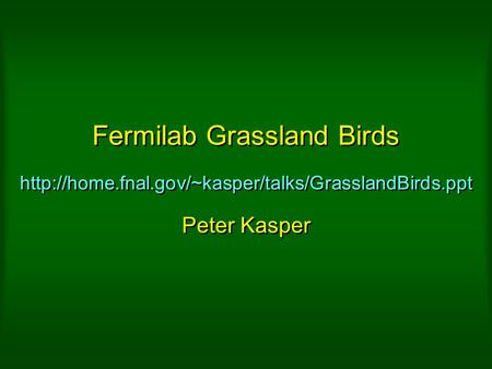 Fermilab Grassland Birds  Peter Kasper.