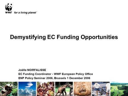 Demystifying EC Funding Opportunities