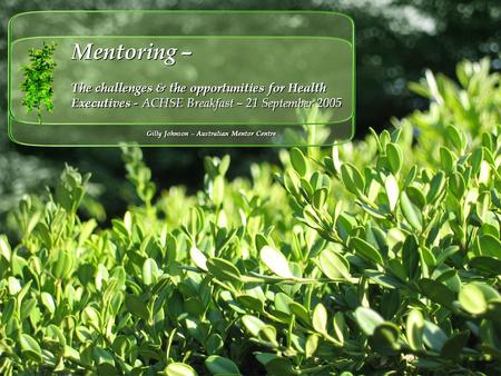 Mentoring – The challenges & the opportunities for Health Executives - ACHSE Breakfast – 21 September 2005 Gilly Johnson – Australian Mentor Centre.