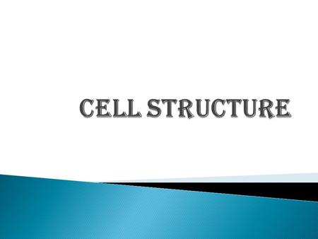  1. Composed of a phospholipid bi-layer. Permeable to polar materials, non-polar materials must pass through channels.