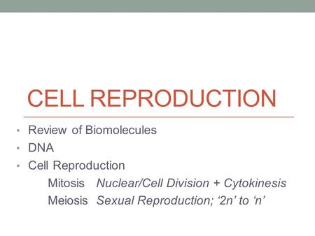 CELL REPRODUCTION Review of Biomolecules DNA Cell Reproduction Mitosis Nuclear/Cell Division + Cytokinesis Meiosis Sexual Reproduction; ‘2n’ to ‘n’