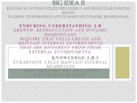 ENDURING UNDERSTANDING 2.B GROWTH, REPRODUCTION AND DYNAMIC HOMEOSTASIS REQUIRE THAT CELLS CREATE AND MAINTAIN INTERNAL ENVIRONMENTS THAT ARE DIFFERENT.