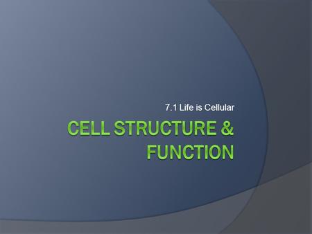 Cell Structure & Function