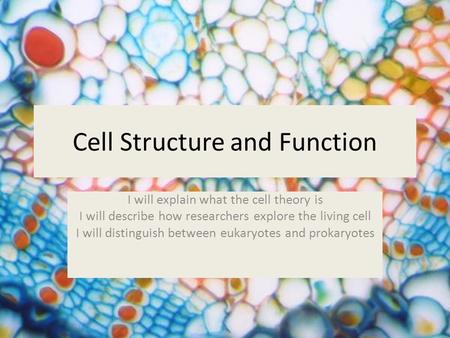 Cell Structure and Function