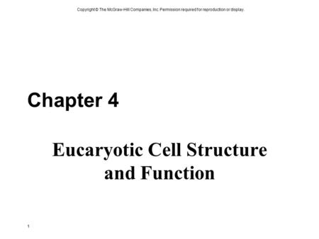 Eucaryotic Cell Structure and Function