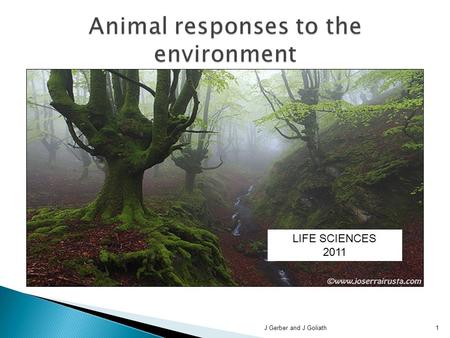 LIFE SCIENCES 2011 J Gerber and J Goliath1. Hormones and nerves enable animals to:  Respond to internal and external change  Co-ordinate the various.