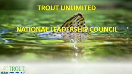 Title option (choose one and delete the other title pages; or choose your own content relevant picture) TROUT UNLIMITED NATIONAL LEADERSHIP COUNCIL.