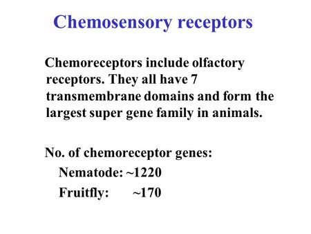 Chemosensory receptors Chemoreceptors include olfactory receptors. They all have 7 transmembrane domains and form the largest super gene family in animals.