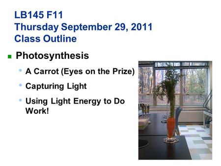 LB145 F11 Thursday September 29, 2011 Class Outline