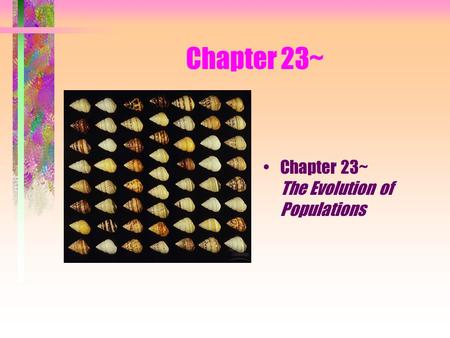 Chapter 23~ Chapter 23~ The Evolution of Populations.