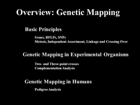 Overview: Genetic Mapping Basic Principles Genetic Mapping in Experimental Organisms Genetic Mapping in Humans Genes, RFLPs, SNPs Meiosis, Independent.