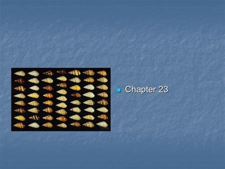 Chapter 23 Chapter 23. Population genetics Population: a localized group of individuals belonging to the same species Population: a localized group of.