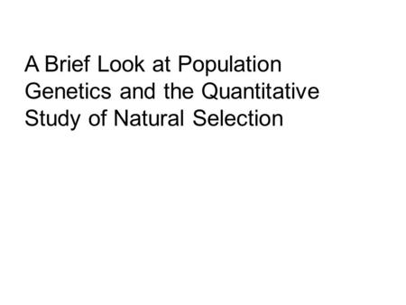 A Brief Look at Population Genetics and the Quantitative Study of Natural Selection.