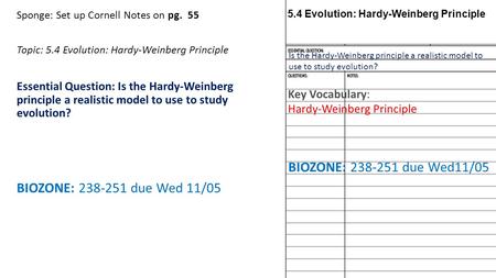 BIOZONE: due Wed 11/05 BIOZONE: due Wed11/05