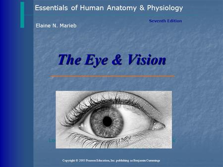 Essentials of Human Anatomy & Physiology Copyright © 2003 Pearson Education, Inc. publishing as Benjamin Cummings Seventh Edition Elaine N. Marieb The.