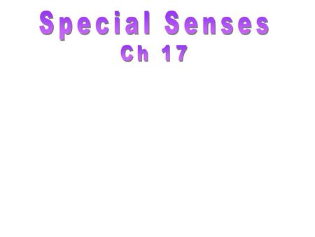 Special Senses Ch 17.