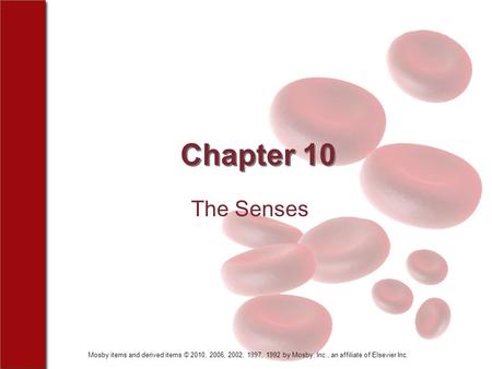 Mosby items and derived items © 2010, 2006, 2002, 1997, 1992 by Mosby, Inc., an affiliate of Elsevier Inc. Chapter 10 The Senses.