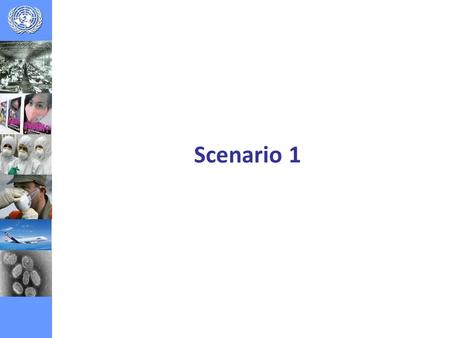 Scenario 1. The Government of (outbreak country) in accordance with International Health Regulations is reporting a severe outbreak of influenza like.