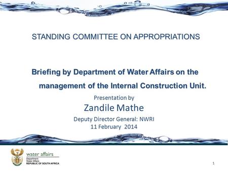 STANDING COMMITTEE ON APPROPRIATIONS Presentation by Zandile Mathe Deputy Director General: NWRI 11 February 2014 1 Briefing by Department of Water Affairs.