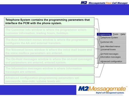 Messagemate Flexi Call Manager Telephone System contains the programming parameters that interface the FCM with the phone system. The Customer Info window.