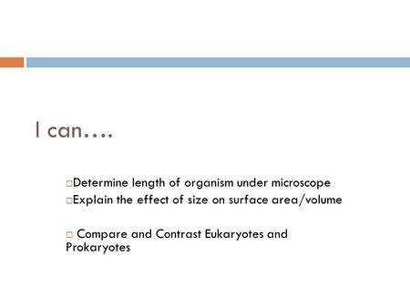 I can….  Determine length of organism under microscope  Explain the effect of size on surface area/volume  Compare and Contrast Eukaryotes and Prokaryotes.