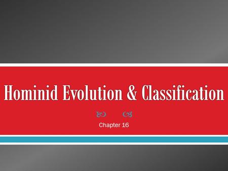 Hominid Evolution & Classification