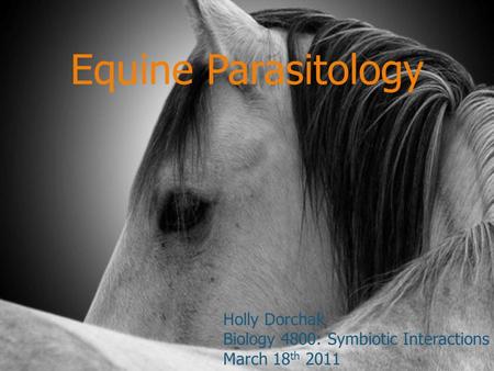 Equine Parasitology Holly Dorchak Biology 4800: Symbiotic Interactions