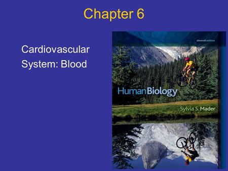 Chapter 6 Cardiovascular System: Blood. What are the functions of blood? Transportation: oxygen, nutrients, wastes, carbon dioxide and hormones Defense: