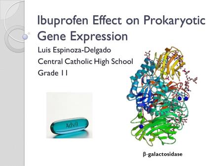 Ibuprofen Effect on Prokaryotic Gene Expression Luis Espinoza-Delgado Central Catholic High School Grade 11 β -galactosidase.