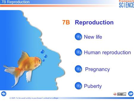 © OUP: To be used solely in purchaser’s school or college 7B Reproduction New life Human reproduction Pregnancy Puberty 7B Reproduction.