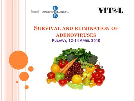 S URVIVAL AND ELIMINATION OF ADENOVIRUSES P ULAWY, 12-14 A PRIL 2010.