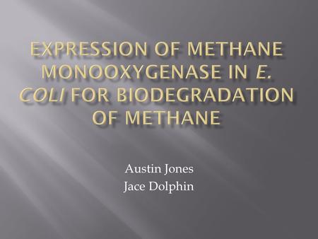 Austin Jones Jace Dolphin. Methylosinus trichosporium culture courtesy of Dr. Alan DiSpirito, ISU Phenol/Chloroform Genomic DNA Extraction from protocol.