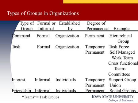 Types of Groups in Organizations