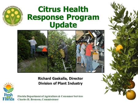 Florida Department of Agriculture & Consumer Services Charles H. Bronson, Commissioner Citrus Health Response Program Update Richard Gaskalla, Director.