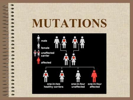 MUTATIONS. What is a Mutation? A change in DNA Mutations are NOT Teenage Mutant Ninja Turtles or XMen!!! We are all mutants – products of the mutations.