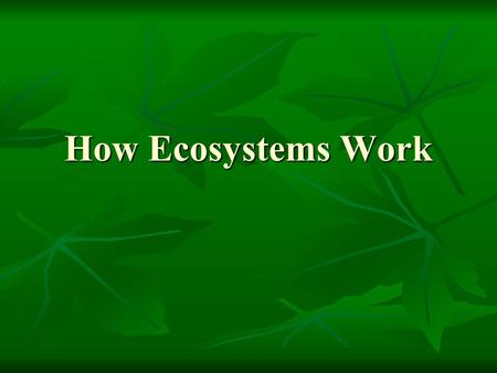 How Ecosystems Work.