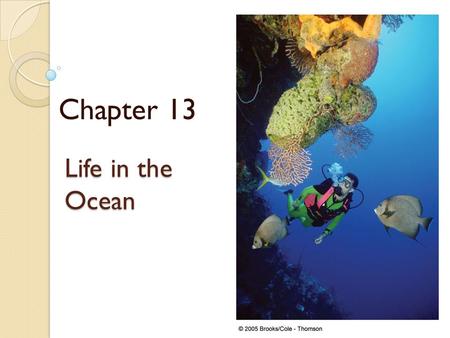 Life in the Ocean Chapter 13. Life, Energy, and FOOD! All life needs energy Energy is the ability to do work Identify different forms of energy: Chemical,