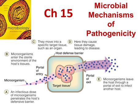 Microbial Mechanisms of Pathogenicity