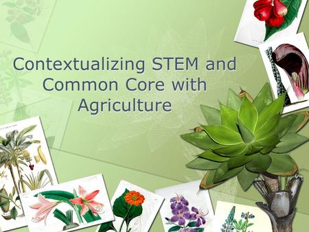 Contextualizing STEM and Common Core with Agriculture.