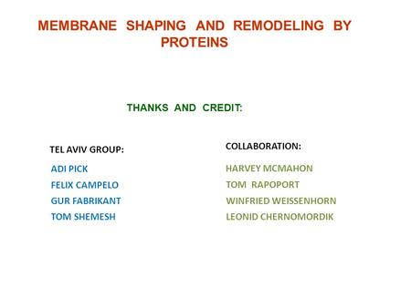 MEMBRANE SHAPING AND REMODELING BY PROTEINS THANKS AND CREDIT: FELIX CAMPELO HARVEY MCMAHON ADI PICK TEL AVIV GROUP: COLLABORATION: TOM SHEMESHLEONID CHERNOMORDIK.