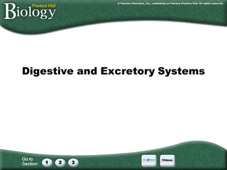 Go to Section: Digestive and Excretory Systems. Go to Section: Do Now Good Food Sense Nutrients are molecules that provide the body with energy and materials.