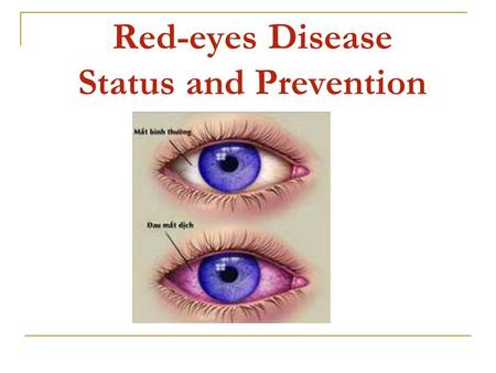 Red-eyes Disease Status and Prevention