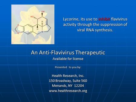 Lycorine, its use to inhibit flavivirus activity through the suppression of viral RNA synthesis. An Anti-Flavivirus Therapeutic Available for license Presented.