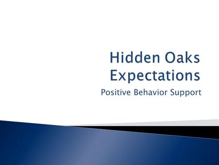 Positive Behavior Support. Self-Control Honesty Accountability Respect Kindness.