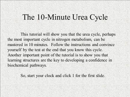 The 10-Minute Urea Cycle This tutorial will show you that the urea cycle, perhaps the most important cycle in nitrogen metabolism, can be mastered in 10.